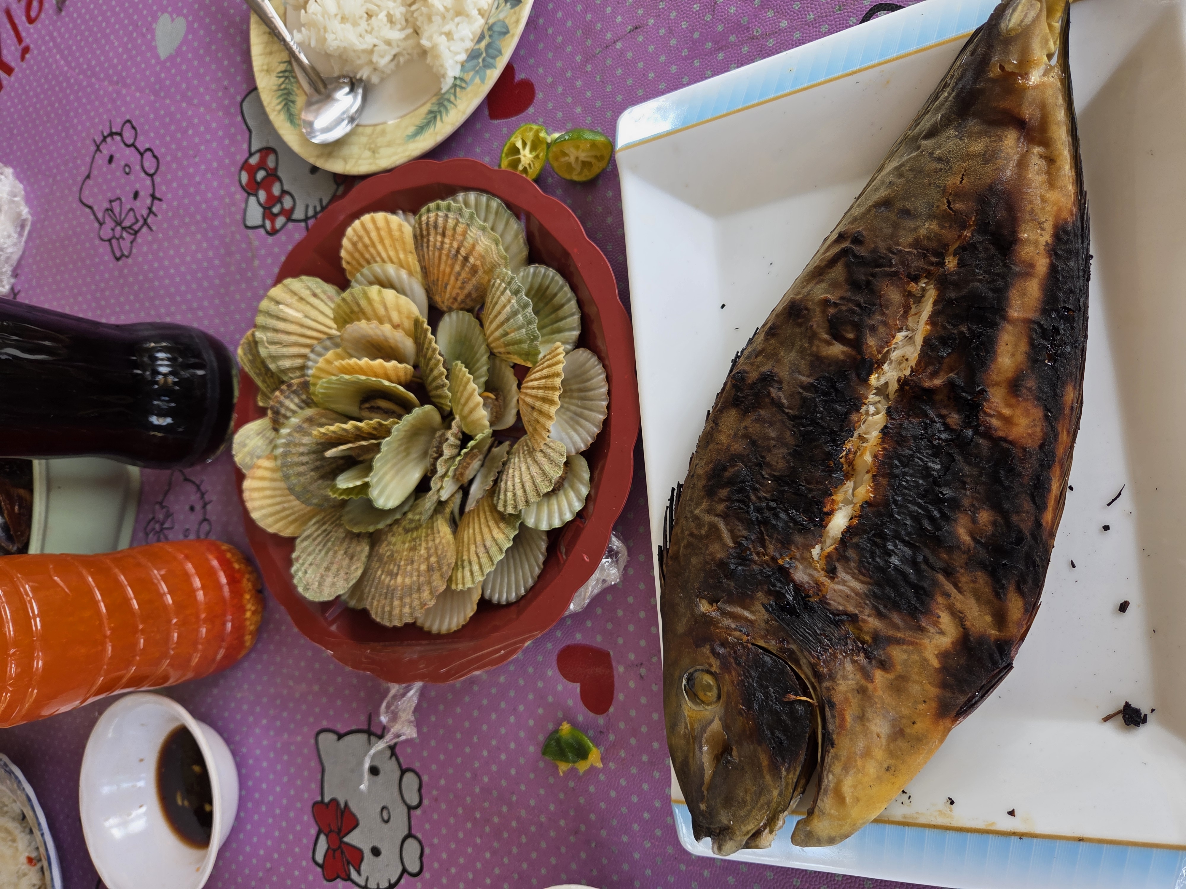 ae225631a67776f2.jpg